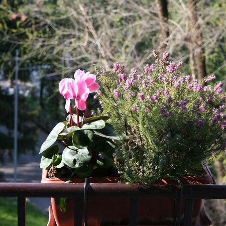 B&B I Ghiri Bergamo Esterno foto