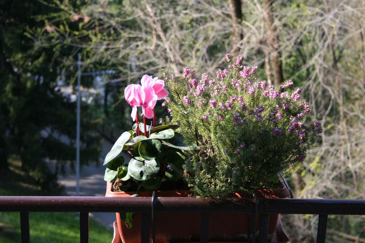 B&B I Ghiri Bergamo Esterno foto