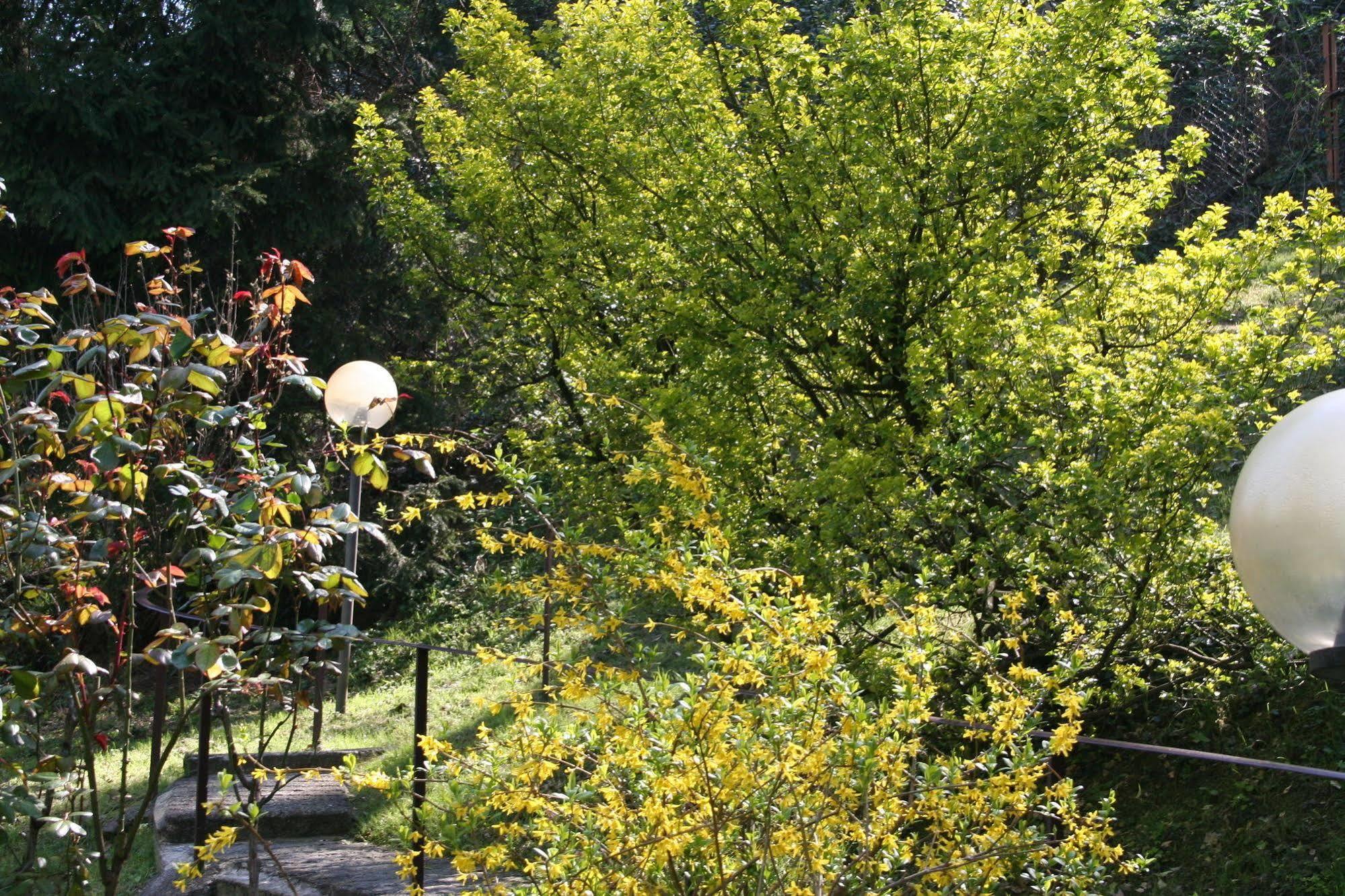 B&B I Ghiri Bergamo Esterno foto